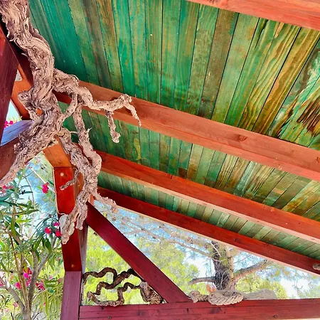 Family Friendly House With A Swimming Pool Janjina, Peljesac - 19594 Σπίτι διακοπών