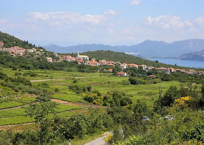 Family Friendly House With A Swimming Pool Janjina, Peljesac - 19594 *